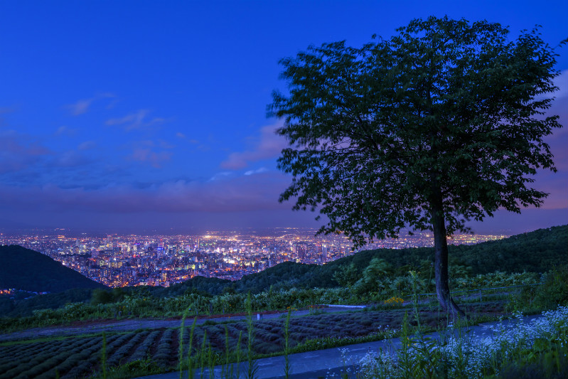 北海道の夜景ドライブスポット20選　4位:幌見峠展望駐車場