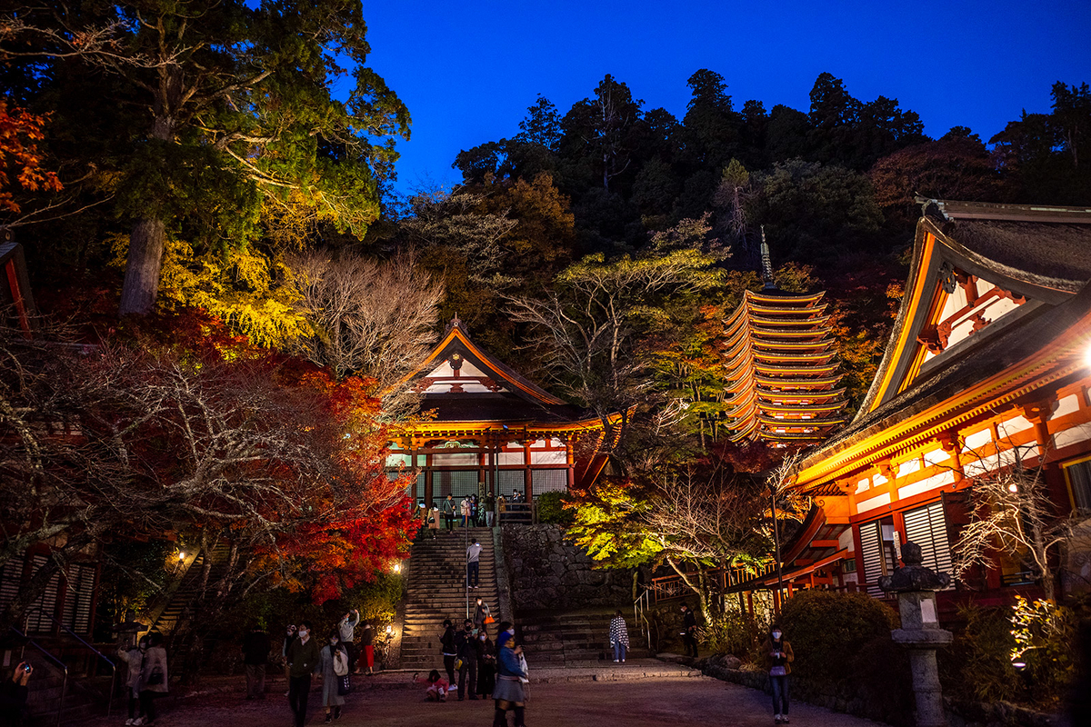 大阪の紅葉ライトアップのおすすめスポット20選　16位:談山神社