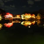 大阪の紅葉ライトアップTOP20!【2025年】