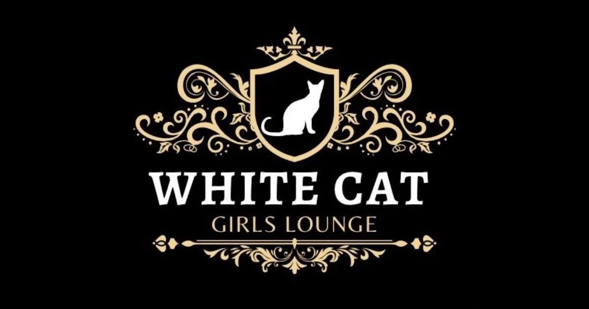 袋町のキャバクラのおすすめ9選　7位:WHITE CAT